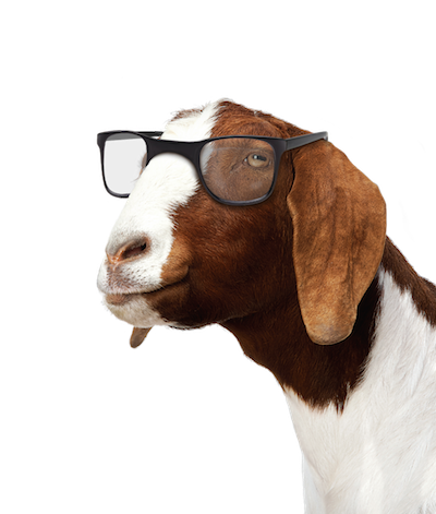 goat_glasses_rtl