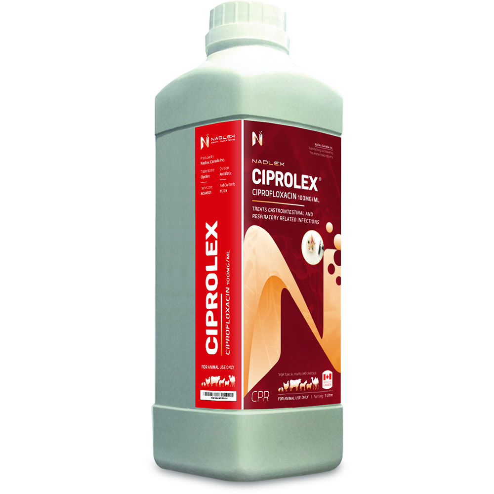 Ciprolex
