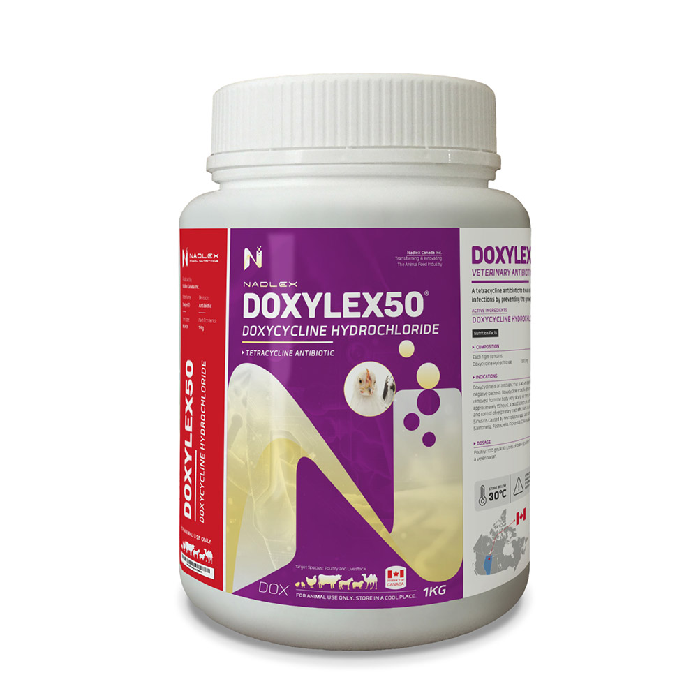 Doxylex50